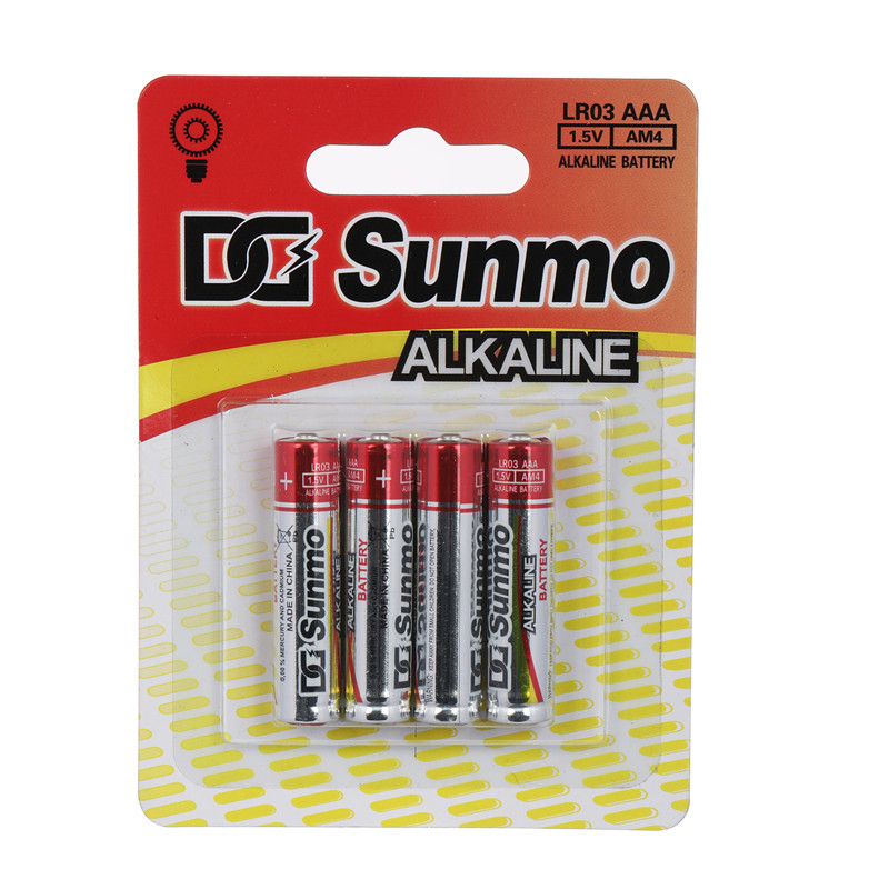 1.5V Alkaline AAA AM4 Battery (2)