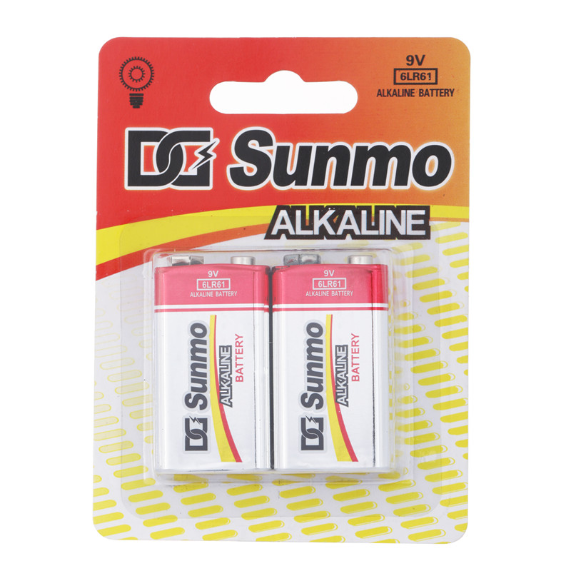 9V Alkaline 6LR61 بيٽري (2)